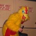goaween0416t.jpg