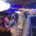 goaween200634t.jpg